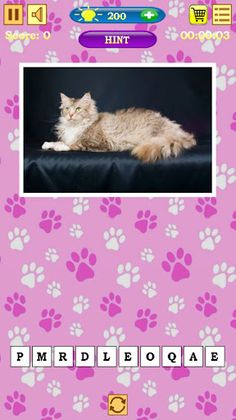 Cats Quiz - Screenshot 3