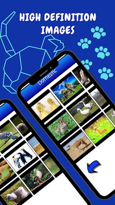 Animal Sound Game - Screenshot 4