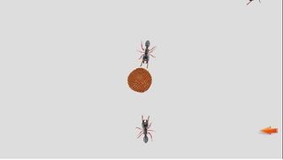 Ant Crush2D - Free Game - Screenshot 2