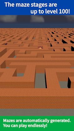 Maze Game 3D - Screenshot 1