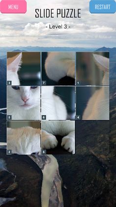 Animals Puzzles - Screenshot 2