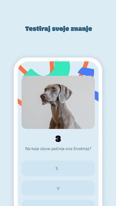 Kvizz - Screenshot 3