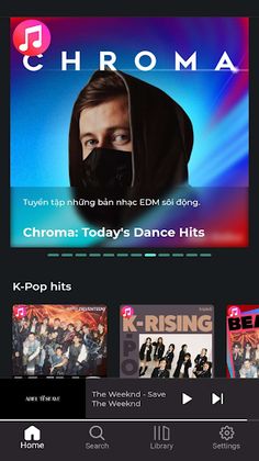 Music Player Offline - Screenshot 2
