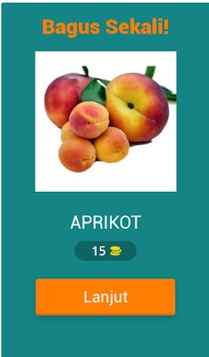 Tebak Gambar Buah V.2 - Screenshot 2