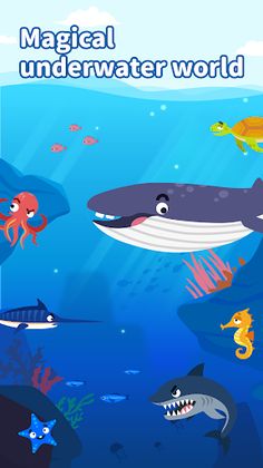 Sea Animals:DuDu Puzzle Games - Screenshot 2
