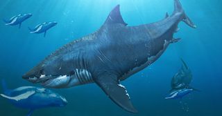 Monster Shark Hunting - Screenshot 2