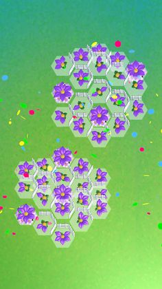 Flower Quest - Screenshot 2