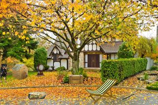 Escape Village House Adventure - Screenshot 1