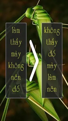 Danh Ngôn Ngược - Screenshot 2
