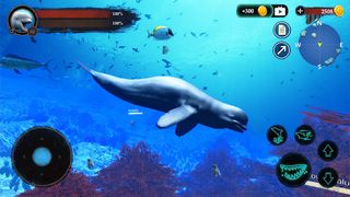 The Beluga Whale - Screenshot 2