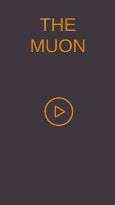 The Muon - Screenshot 1