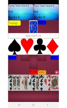 Pinochle Card Game - Screenshot 2