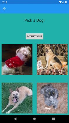 Ruff Puzzle Game - Screenshot 1