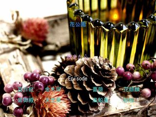 HanaKoen - Screenshot 1