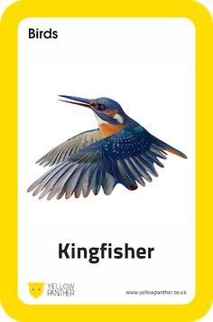 Education AR - Screenshot 4