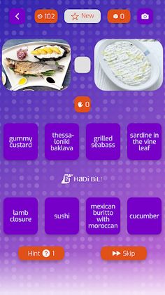 Hadi Bil - Picture Question Ga - Screenshot 1