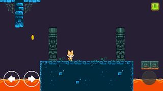Pets Adventure 2D Platformer - Screenshot 2