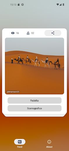 Picturesque - Screenshot 3