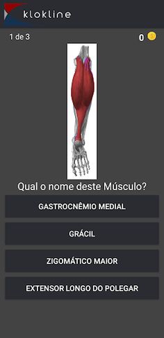 159 Human Muscles Challenge - Screenshot 2