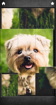 Cute Dogs Jigsaw Puzzles - Screenshot 3