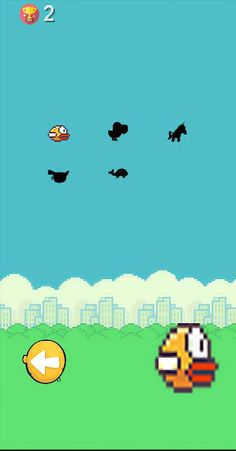 Pocket Bird - Screenshot 2