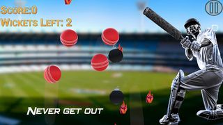 Hit Cricket - Mobile Finger Le - Screenshot 2