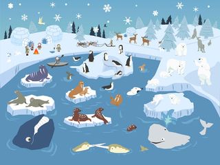 Dobby Dog hide and seek - peek - Screenshot 1