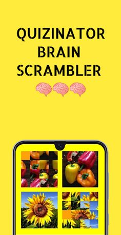 QUIZINATOR BRAIN SCRAMBLER - Screenshot 1