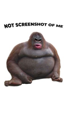 NFT Monke Screenshot - Screenshot 1