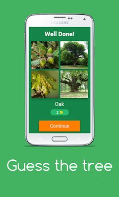 Guess the tree - Tree species  - Screenshot 2