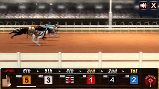 Dog Race - Screenshot 3