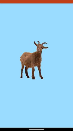 Baby Animal Tap (ad-backed) - Screenshot 3