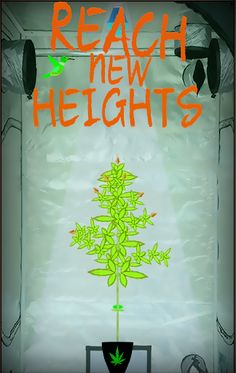 Cannabis Grow Box - Screenshot 3