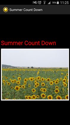 summer countdown - Screenshot 1