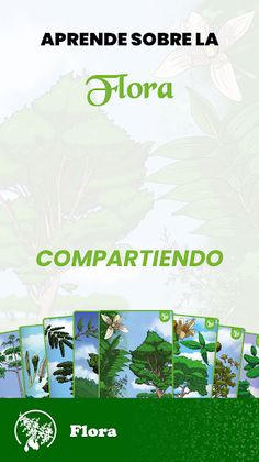 WWF Magdalena Salvaje - Screenshot 3