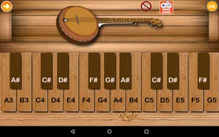 Professional Banjo - Screenshot 2