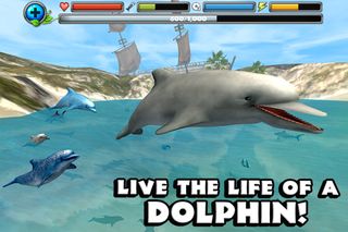 Dolphin Simulator - Screenshot 1