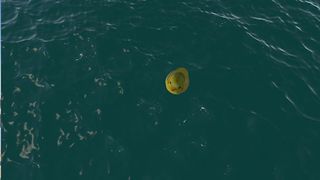 Plastic Duck Simulator - Screenshot 2