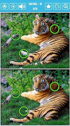 Picture Difference 10Mb Puzzle - Screenshot 2