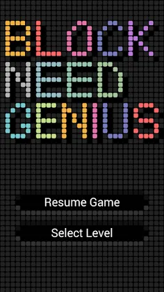Block Need Genius The Puzzle - Screenshot 1