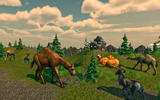 Dubai Camel Simulator - Screenshot 2