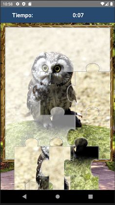 Rompecabezas de Buhos - Screenshot 4