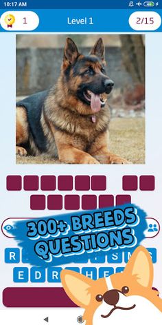 dog breed quiz - Screenshot 4