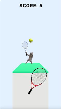 Cat Tennis : Meow Meow - Screenshot 2