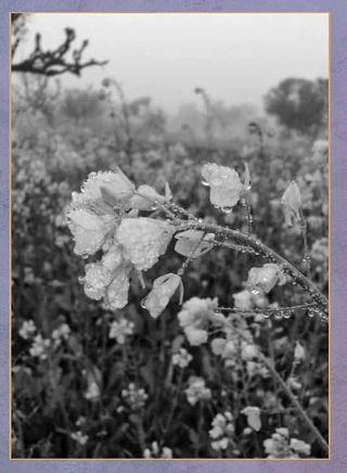 Spin Puzzle 2 Pro - Screenshot 3