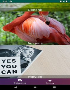 Online Quiz - Screenshot 4