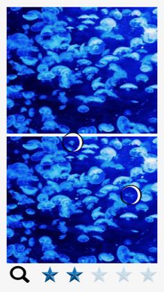 Spot a Difference Blue - Screenshot 2