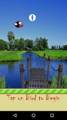 Brisky Bird - Screenshot 4