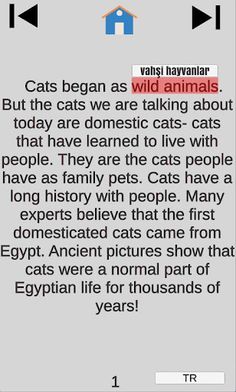 ENGLISH SEA - Screenshot 1