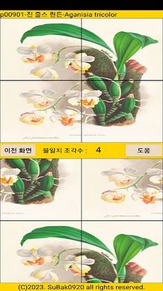 ttpuzzle09 - Screenshot 3